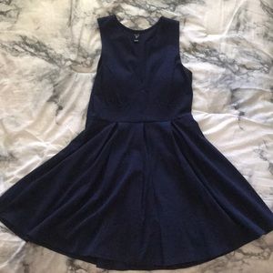 Windsor Appeal Skater Dress